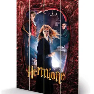 HARRY POTTER - Hermione - Impression sur bois 40x59cm