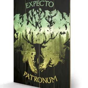 HARRY POTTER - Expecto Patronum - Impression sur bois 40x59cm