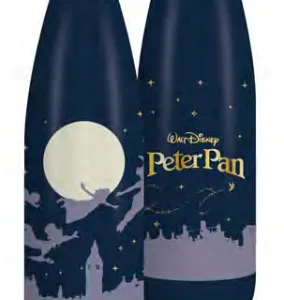 DISNEY - Peter Pan - Bouteille d'eau Métal 500ml