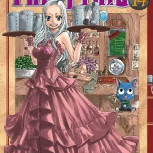 FAIRY TAIL - Tome 14