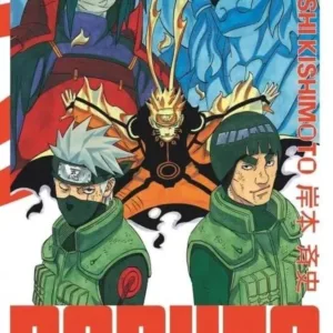 NARUTO - Edition Hokage - Tome 31