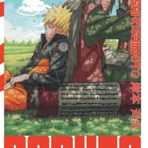 NARUTO - Edition Hokage - Tome 21