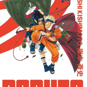 NARUTO - Edition Hokage - Tome 10