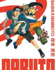 NARUTO - Edition Hokage - Tome 11