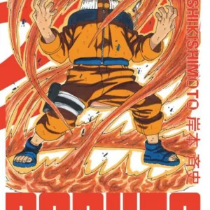 NARUTO - Edition Hokage - Tome 13