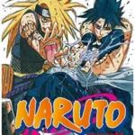 NARUTO - Tome 40
