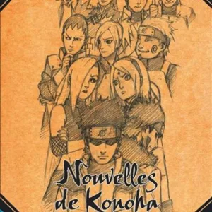 NARUTO - ROMAN T08 - NOUVELLES DE KONOHA