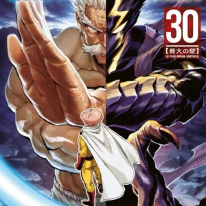 ONE PUNCH MAN - Tome 30