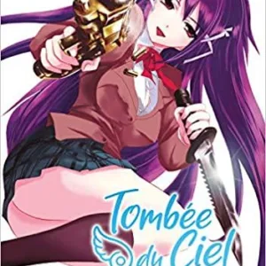 TOMBEE DU CIEL - Tome 4