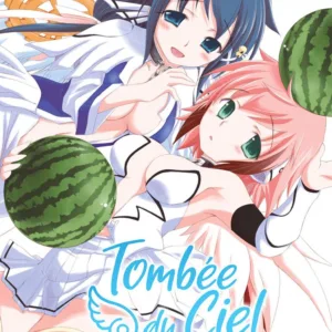 TOMBEE DU CIEL - Tome 12
