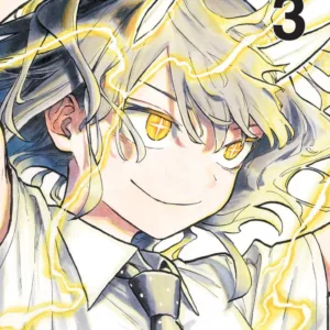 RURIDRAGON - Tome 3