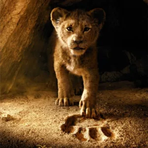 ROI LION - Simba - Poster 61 x 91cm