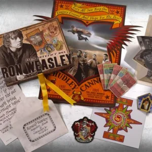 HARRY POTTER - Boite D'Artefacts Ron Weasley (UK)